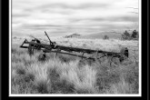 aa_seeder_005bw_11_14f.jpg